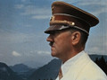 Hitler: A Career (1977) DVD