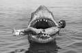Jaws (1975) DVD