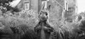 Peter Rabbit (2018) DVD