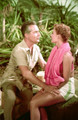 South Pacific (1958) DVD