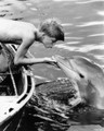 Flipper (1963) DVD