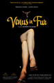Venus In Fur (2013) DVD