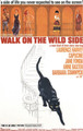 Walk On The Wild Side (1962) DVD