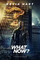 Kevin Hart: What Now? (2016) DVD