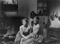 The President's Lady (1953) DVD