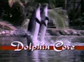 Dolphin Cove (1989) DVD