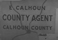Calhoun: County Agent (1964) DVD