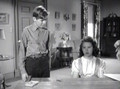 Rusty Leads The Way (1948) DVD