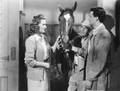 The Homestretch (1947) DVD