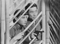 Daughter Of Shanghai (1937) DVD