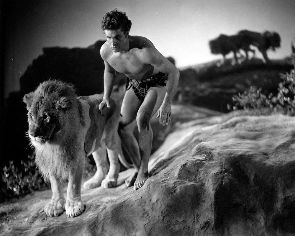 King Of The Jungle (1933) DVD - Zeus