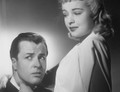The Night Before The Divorce (1942) DVD