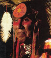 The War Against The Indians (1993) DVD