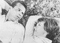 The Americanization Of Emily (1964) DVD