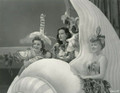 Ziegfeld Girl (1941) DVD