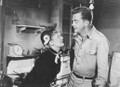 Love Nest (1951) DVD