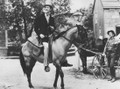 Chad Hanna (1940) DVD