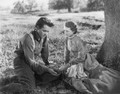 The Farmer Takes A Wife (1935) DVD
