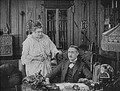 Old Wives For New (1918) DVD