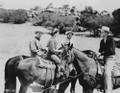 The Palomino (1950) DVD