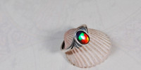 Brilliant Tricolour Ammolite Ring.In your size too!