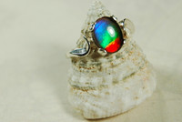 Ammolite ring. Bright Rainbow colors.
