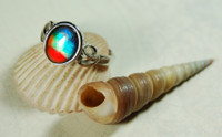 Ammolite Celtic style ring.Five Rainbow colors.Your size too!