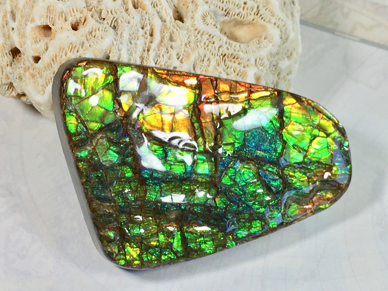 5) Ammolite Crystal high quality Gemstone