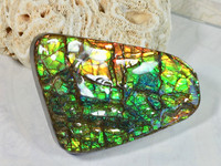 Ammolite Lucky Stone.Smaller than some but more color.