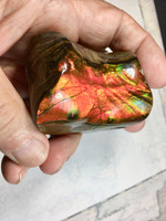 Ammolite Lucky stone with two different color sides.
