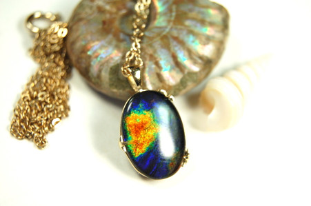 Your chance to own a one of a kind ammolite.