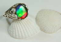 Ammolite ring with 4 colors. Ammolite from Canada.