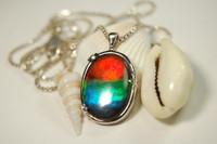 Ammolite Jewelry Pendant.Amazing colorful high quality rainbow gem.