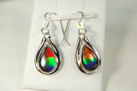Ammolite earrings.Nicely matched top quality rainbow ammolite.Ammolite from Canada.