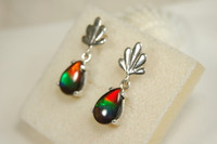 Ammolite stud earrings.Top quality bright Tricolor gems