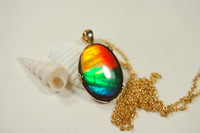 Ammolite Pendant in 14k Gold.RARE Top Quality Four Colors.