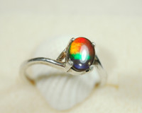 Ammolite Jewelry Ring with four bright Colors.RARE high quality.