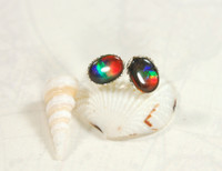 Sterling Silver Ammolite stud earrings.Top quality bright Tricolor gems