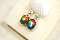 Ammolite Jewelry Earrings Rainbow gems in green,red,blue.