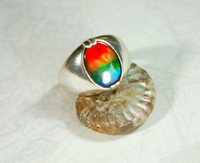 Ammolite Mens Ring.RARE quality four color gem.