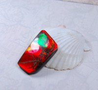 Ammolite Natural Cabochon.The Window of Green on Blood Red.