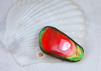 Ammolite pendant.All natural beauty.Lovely colour structure.