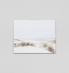 Sand Reed Dunes Framed Canvas