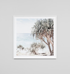 Coastal Palms - Regular