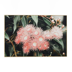 Australian Bouquet - Framed Canvas