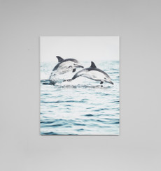 Dolphin Dive Canvas
