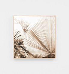 Desert Palm 1 Framed Canvas
