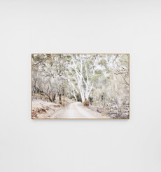 Eucalyptus Track Framed Canvas