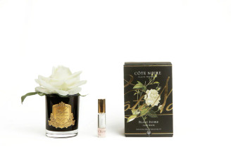 Perfumed Single Rose - Ivory White | Gold Badge 