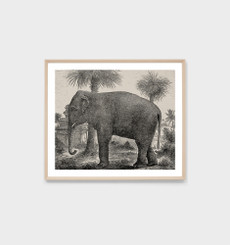 Vintage Elephant Journey Black Print - 68 x 59cm